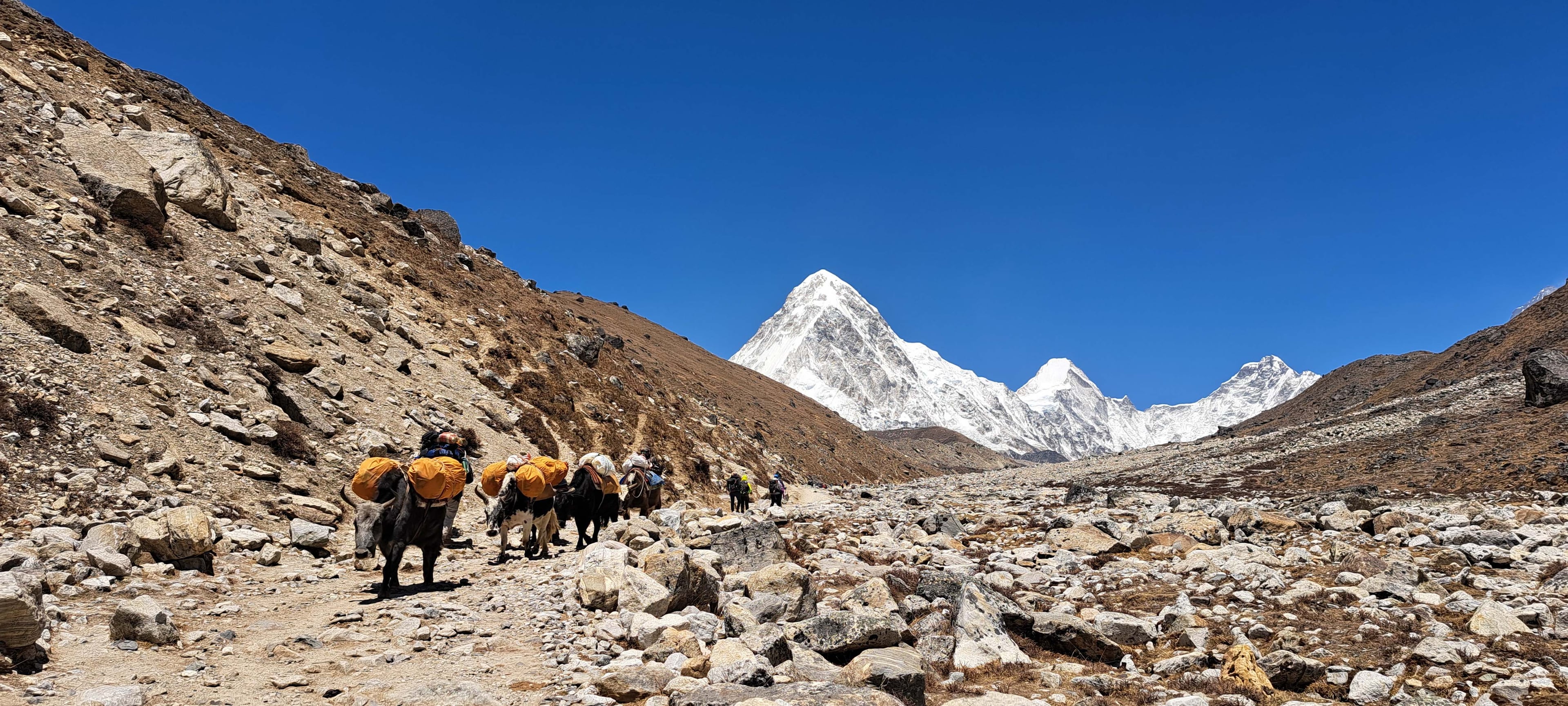 Everest Region Trekking adventure on Trek 8586, showcasing the path to Everest Base Camp
