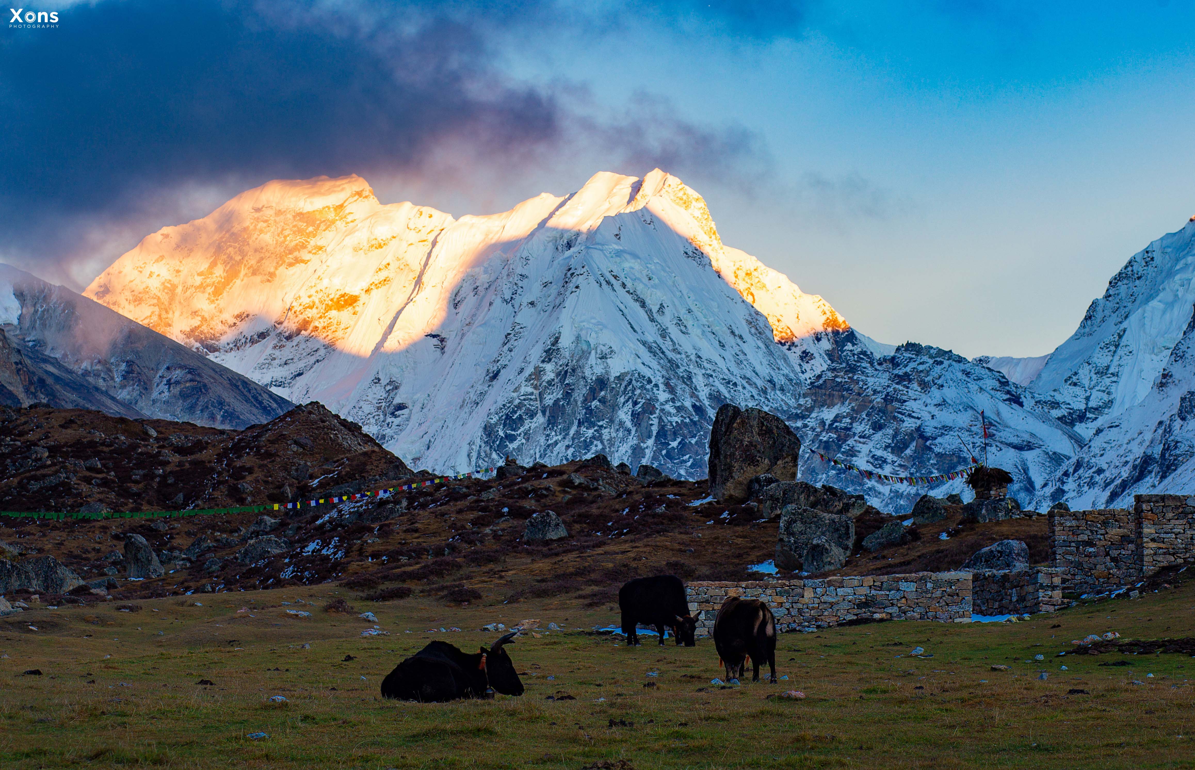 Trek 8586 in Kanchenjunga North, capturing the rugged landscapes of the Kanchenjunga Region