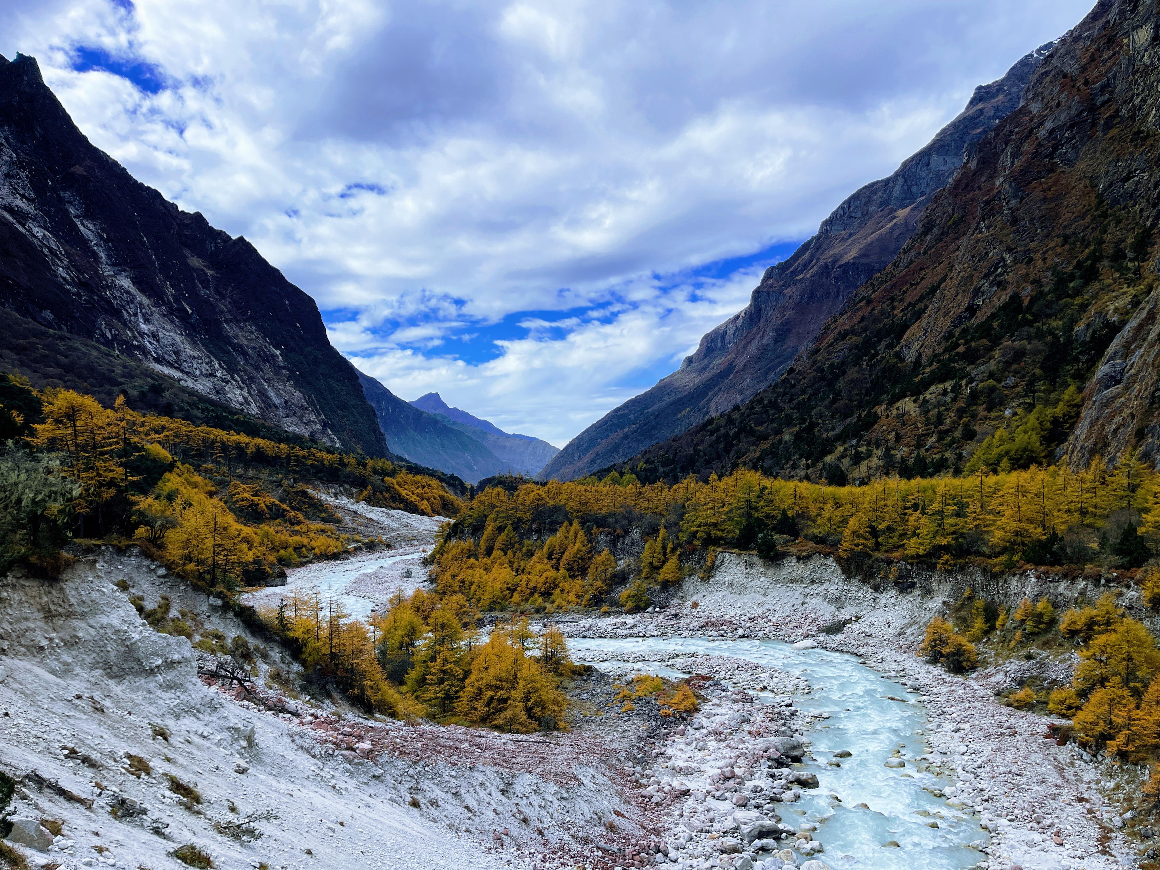 River flowing across vibrant flowers at North Base Camp in the Kanchenjunga Region, creating a serene and picturesque landscape for trekkers in Eastern Nepal.